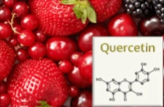 Quercetin