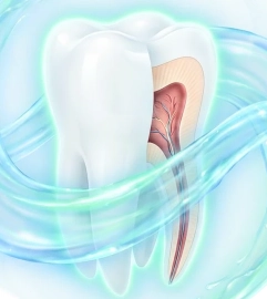 DentaBiome