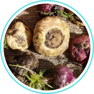 Maca Root