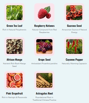 Glycovit Ingredients