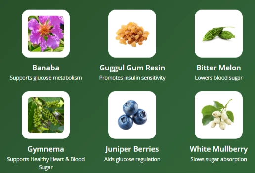 RegenVive Ingredients